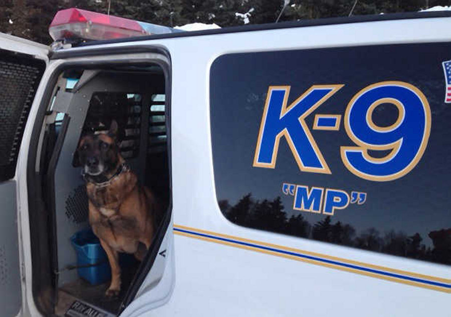 Anchorage K-9 MP