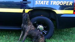 Officials say that a fugitive assaulted K-9 Ripper as troopers tried to arrest the man Tuesday afternoon. Officials say that a fugitive assaulted K-9 Ripper as troopers tried to arrest the man Tuesday afternoon.