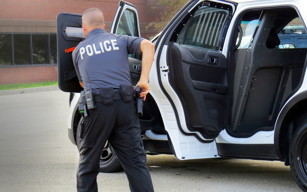 Viper Shield In Application 11657431