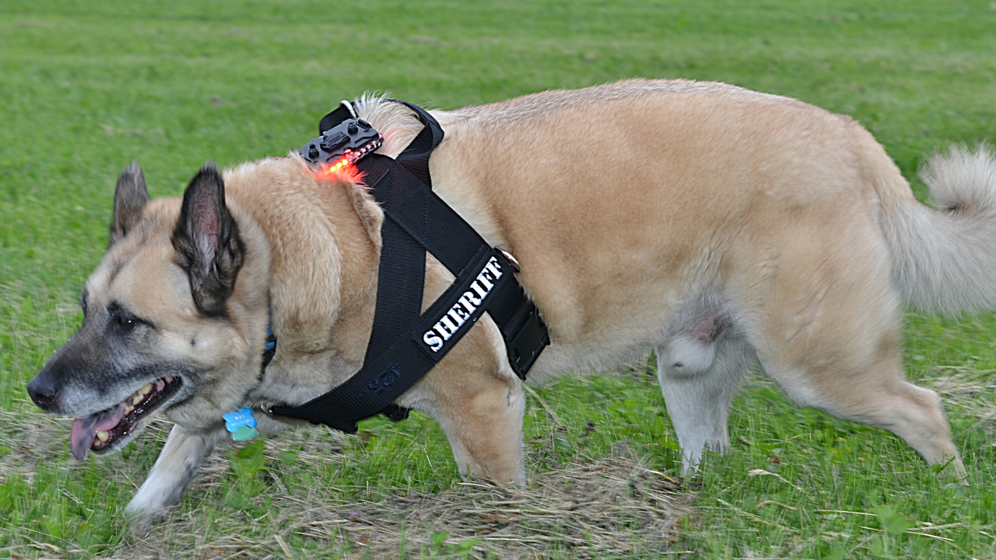 Guardian Angel K9 Mount 5411da3651ffe