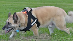 Guardian Angel K9 Mount 5411da3651ffe Guardian Angel K9 Mount 5411da3651ffe