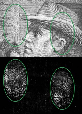 Spirulina 55156dea3c72f