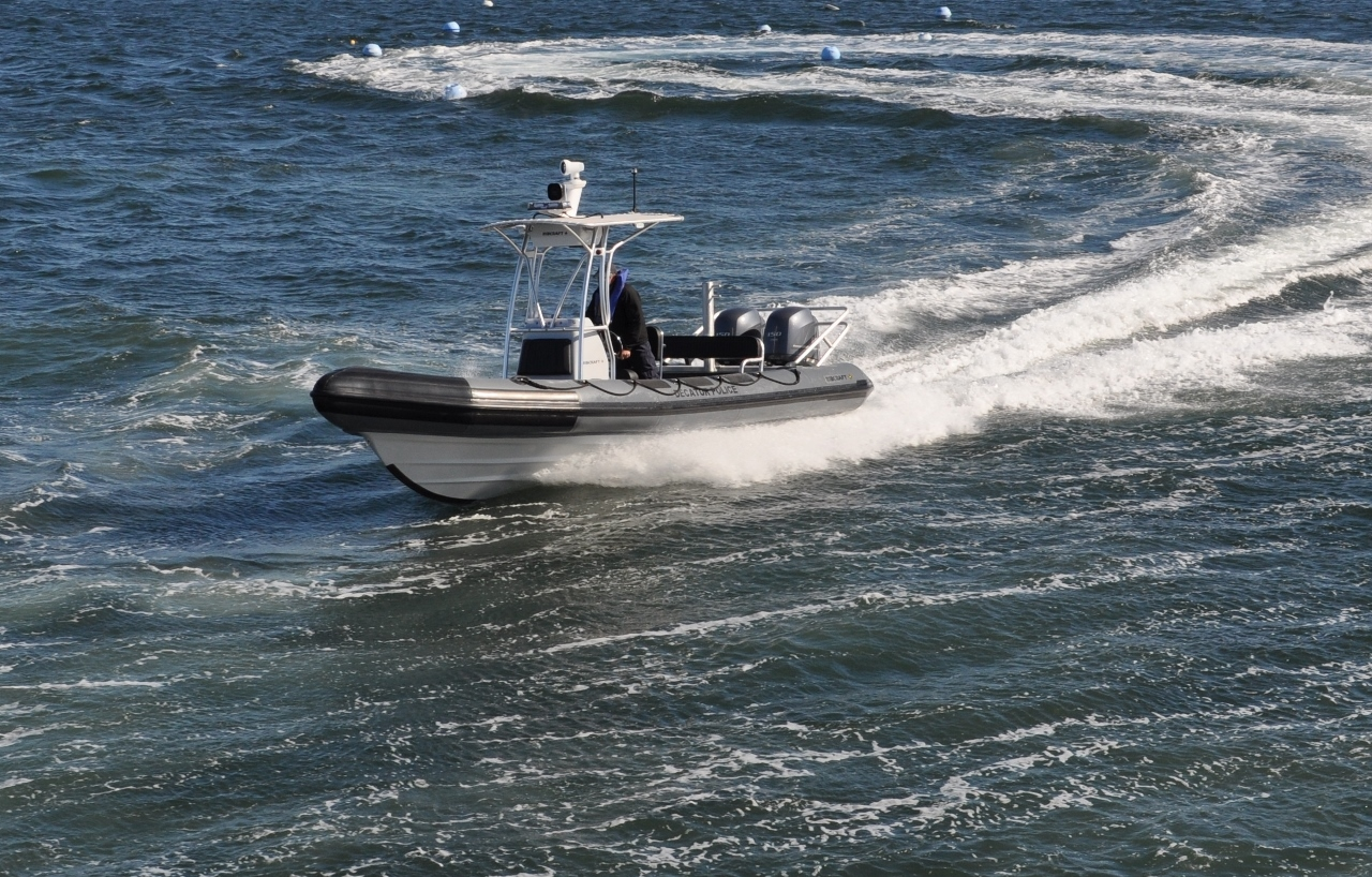 Ribcraft Dpd 2 5522b388ca7bf