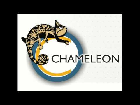 Chameleon Training Suit