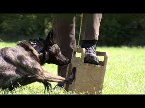 Chevrolet Police Vehicles: K9