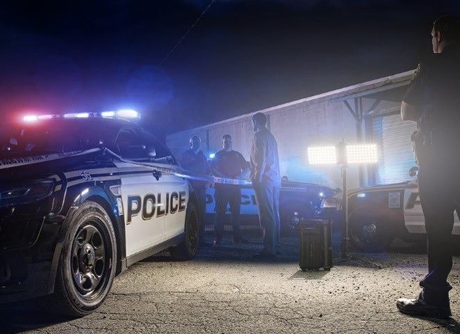 Paladin 561c11bfa132d