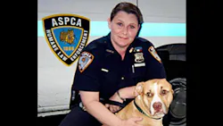ASPCA Special Investigator Diane DiGiacomo ASPCA Special Investigator Diane DiGiacomo