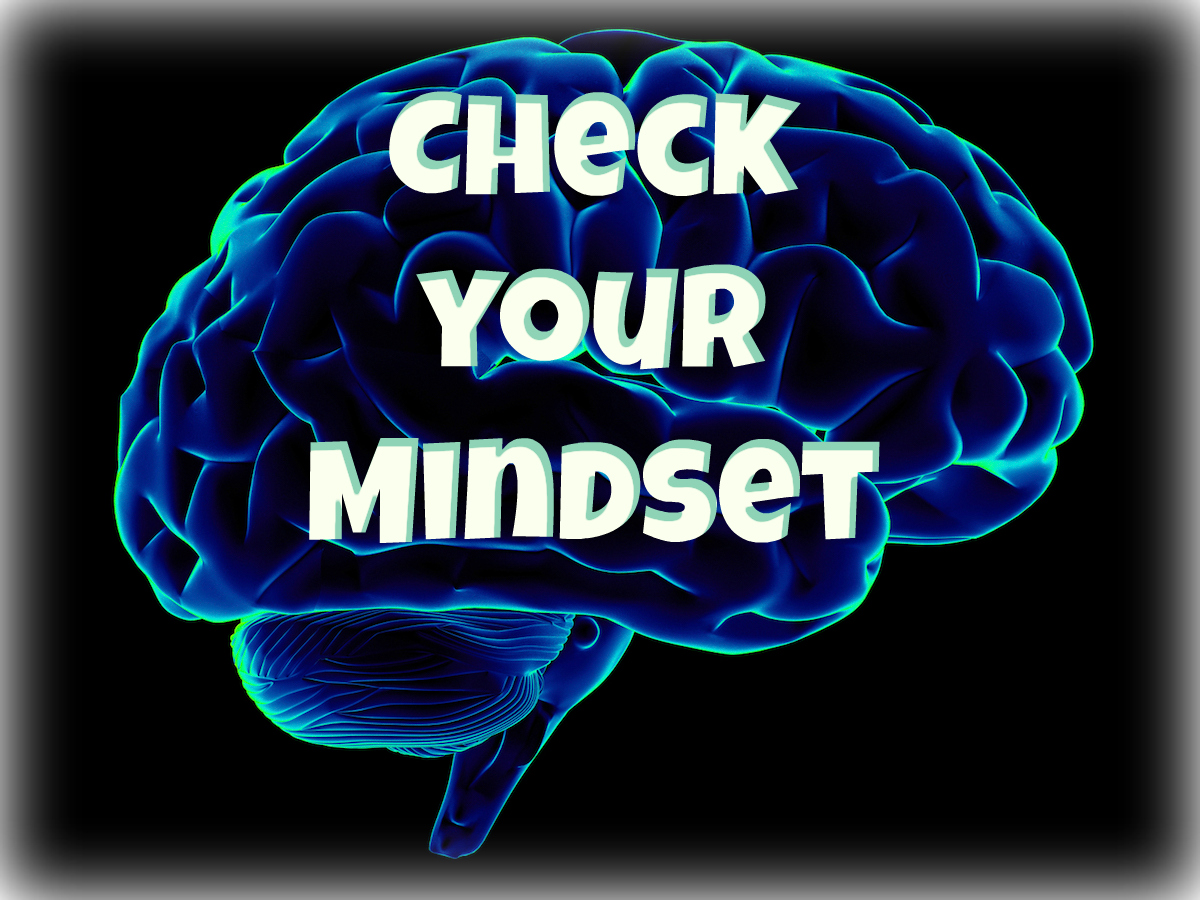 Check Mindset 568a94291bbda