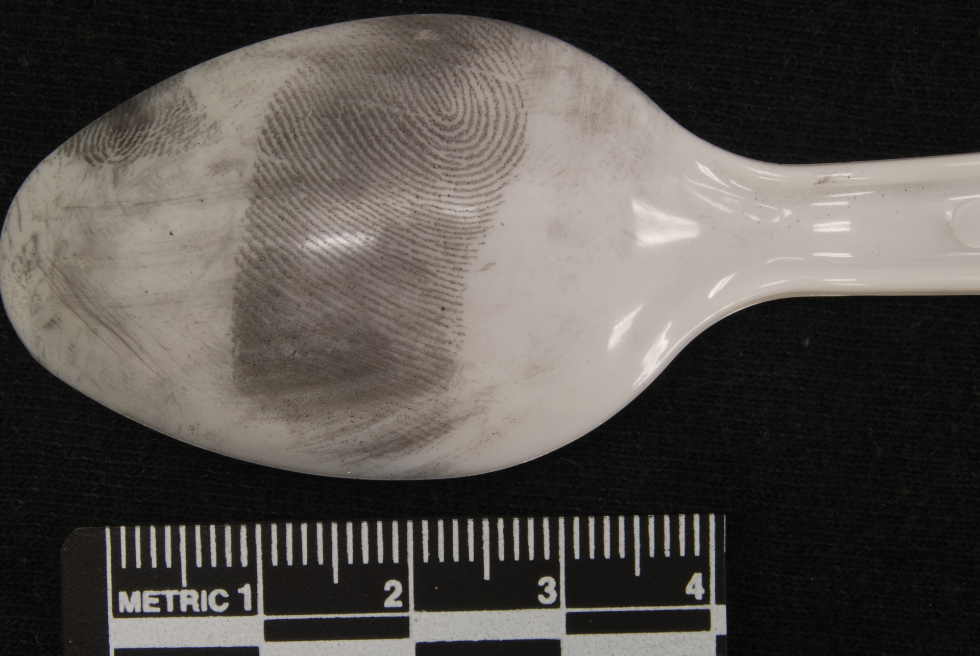 Full name: Alicia Ann Englert, Student, Keystone College Description: This photograph is an exam-quality photograph depicting a fingerprint with a loop pattern dusted off of a plastic spoon. A scale was placed underneath the object to demonstrate size and a level plane when the photograph was taken. The spoon was placed on a black background for contrast. When the photograph was taken, the spoon was on a raised surface with the camera pointed over top of it at a ninety degree angle. I chose this photo out of the group of photographs that I took during my forensic photography class during May Intersession after my Freshman year at Keystone. This photograph was the clearest and showed the most detail, so I decided to enter it into the forensics category of the photography contest at the IAI conference I was attending. I did not expect to win, I just wanted to get my name out there for professionals in the field to see. But to my pleasant surprise I won third place in the contest