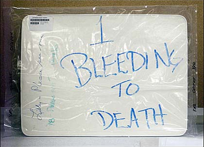 Picture24 56fa9dc010367