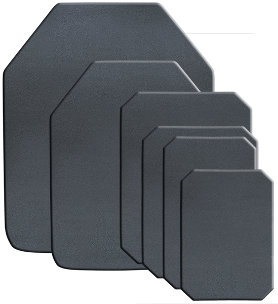 Speed Plates Plus 2016 56f2ac94db20f