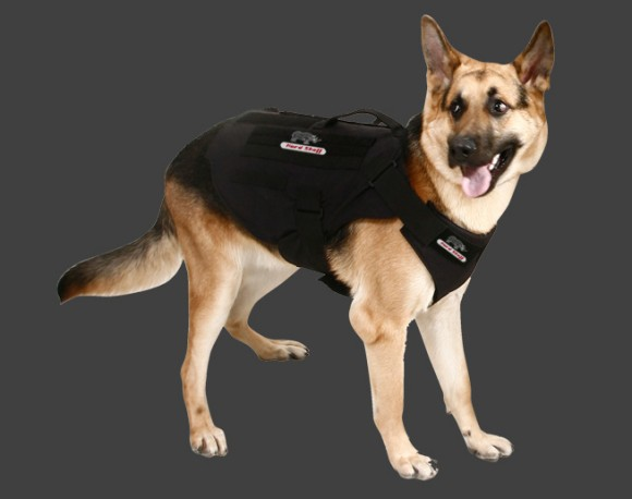 K9 Ballistic Protection D4aceyy58ynaq Cuf