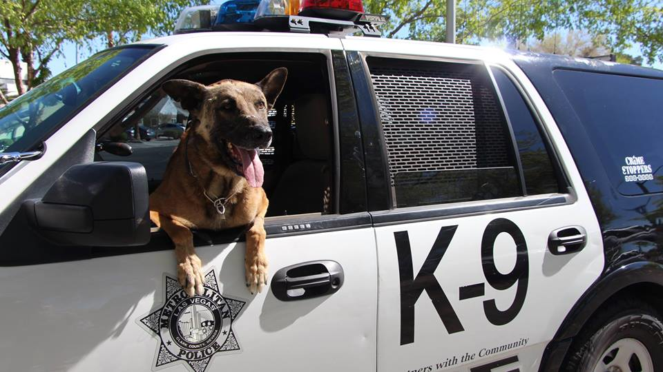 Las Vegas Metro Police K-9 Nicky was fatally wounded in a shootout was a suspect in a residential neighborhood.