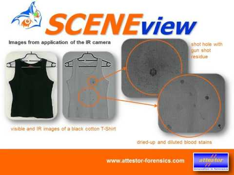 Hqdefault 08wp5xplmyqw2 Cuf