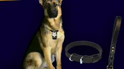 German Shepherd 08r Tcozktd7y Cuf German Shepherd 08r Tcozktd7y Cuf