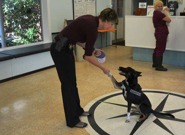 0422 BRLO GIA6 57ae1d23ec4bd