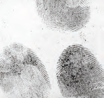 US $20 banknote dusted with fpNATURAL&circledR;2, illuminated in the near-IR and examined at 850nm.