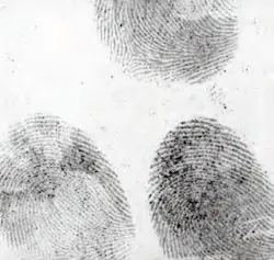 US $20 banknote dusted with fpNATURAL®2, illuminated in the near-IR and examined at 850nm. US $20 banknote dusted with fpNATURAL®2, illuminated in the near-IR and examined at 850nm.