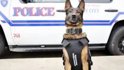 K-9 Kim K-9 Kim