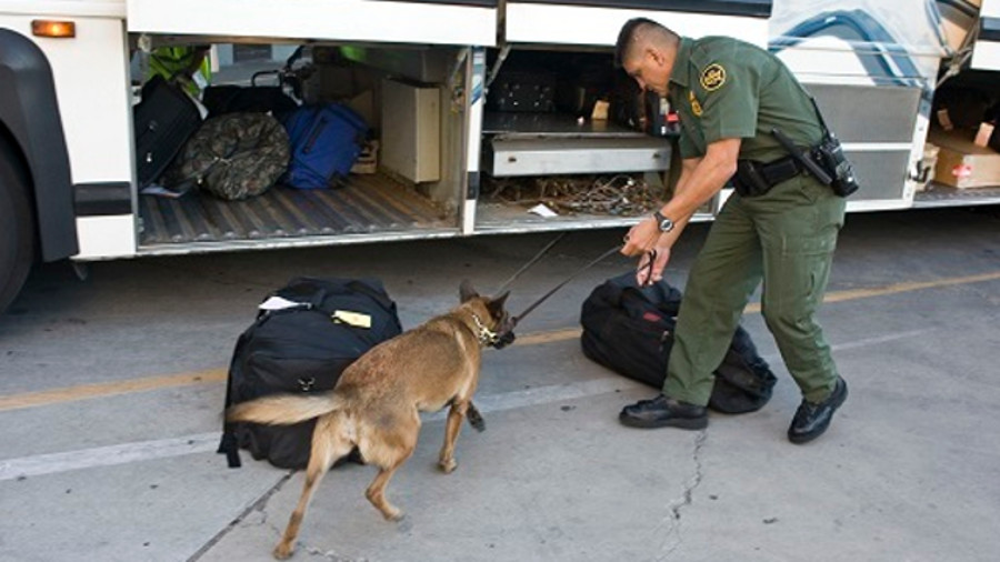 petpace 58dd52d02271b