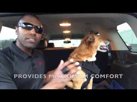 221B Tactical's Founder and CEO is a dog lover, trainer and long-time proponent of working dog safety. His goal is to make your dog as Safe and Comfortable as possible. Unfortunately, most K-9 harnesses on the market today do neither. That is what lead him to design and invent The Noxx K-9 Harness.