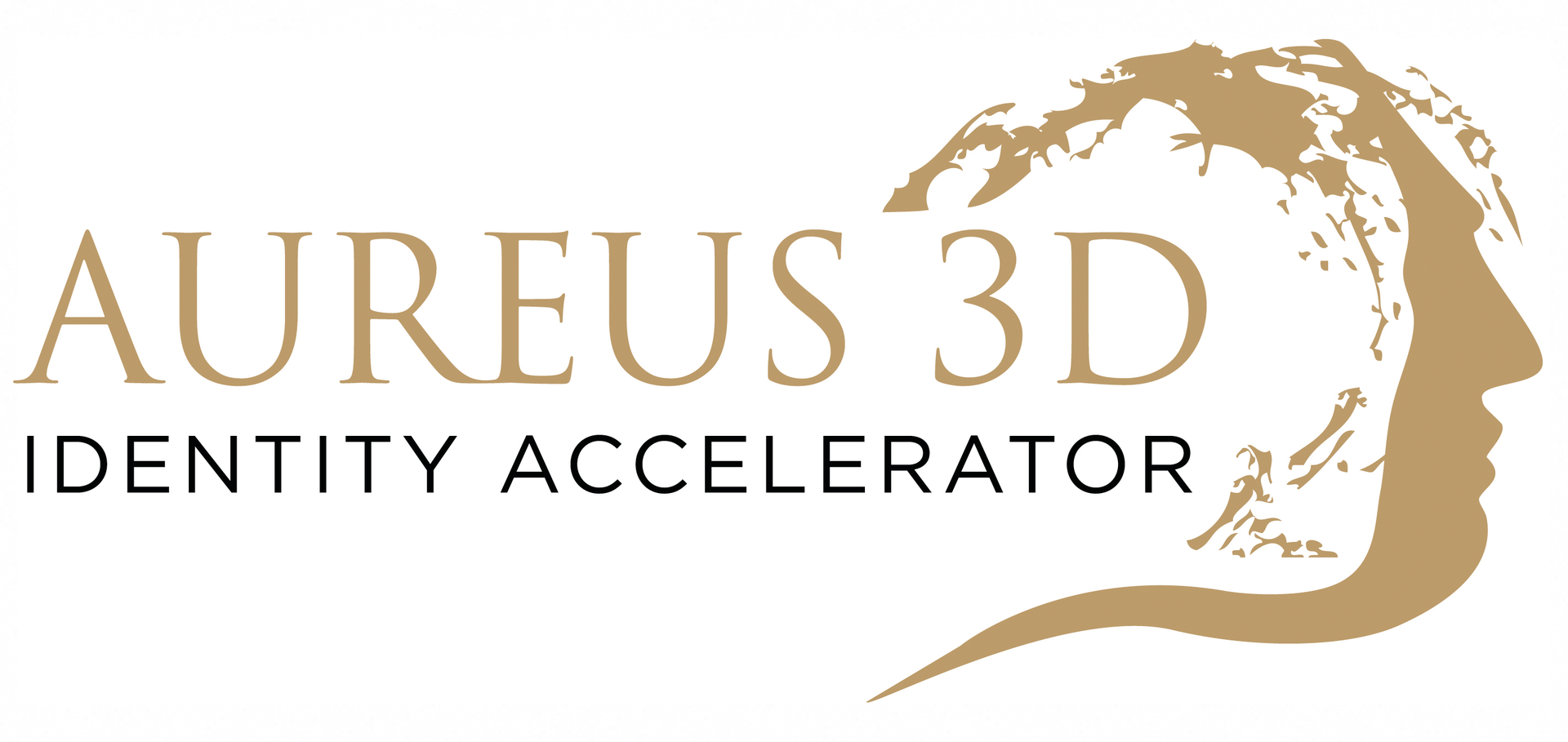 Aureusfinallogocmky 10314150 5a68f6e87d747