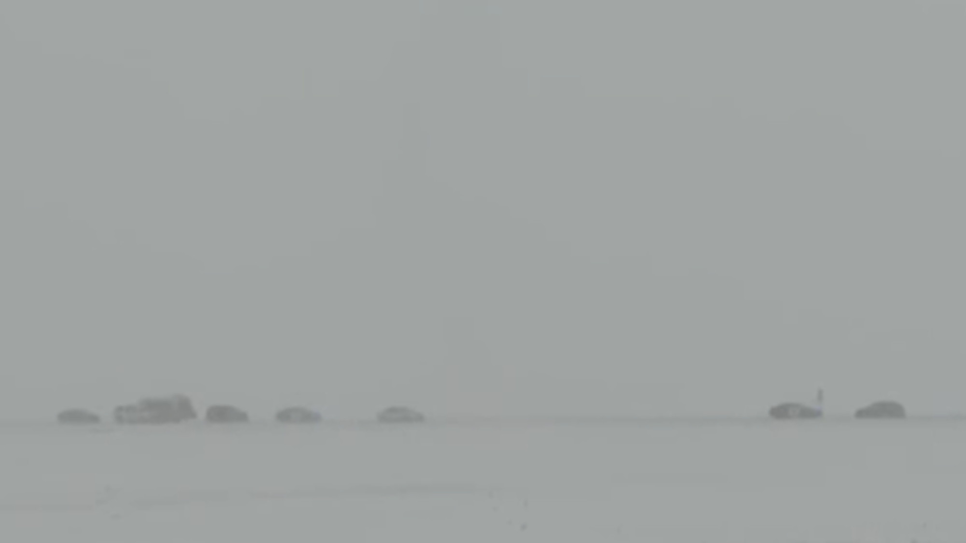 A woman attempted to fire a gun at the head of Minnesota Trooper Mark Peterson, who in defense shot her after the firearm malfunctioned during the incident Monday.