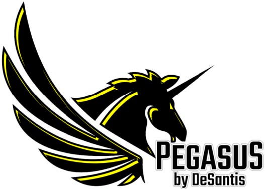 Pegasus Desantis Logo 5aa06cb9cc964