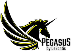 Pegasus Desantis Logo 5aa06cb9cc964 Pegasus Desantis Logo 5aa06cb9cc964