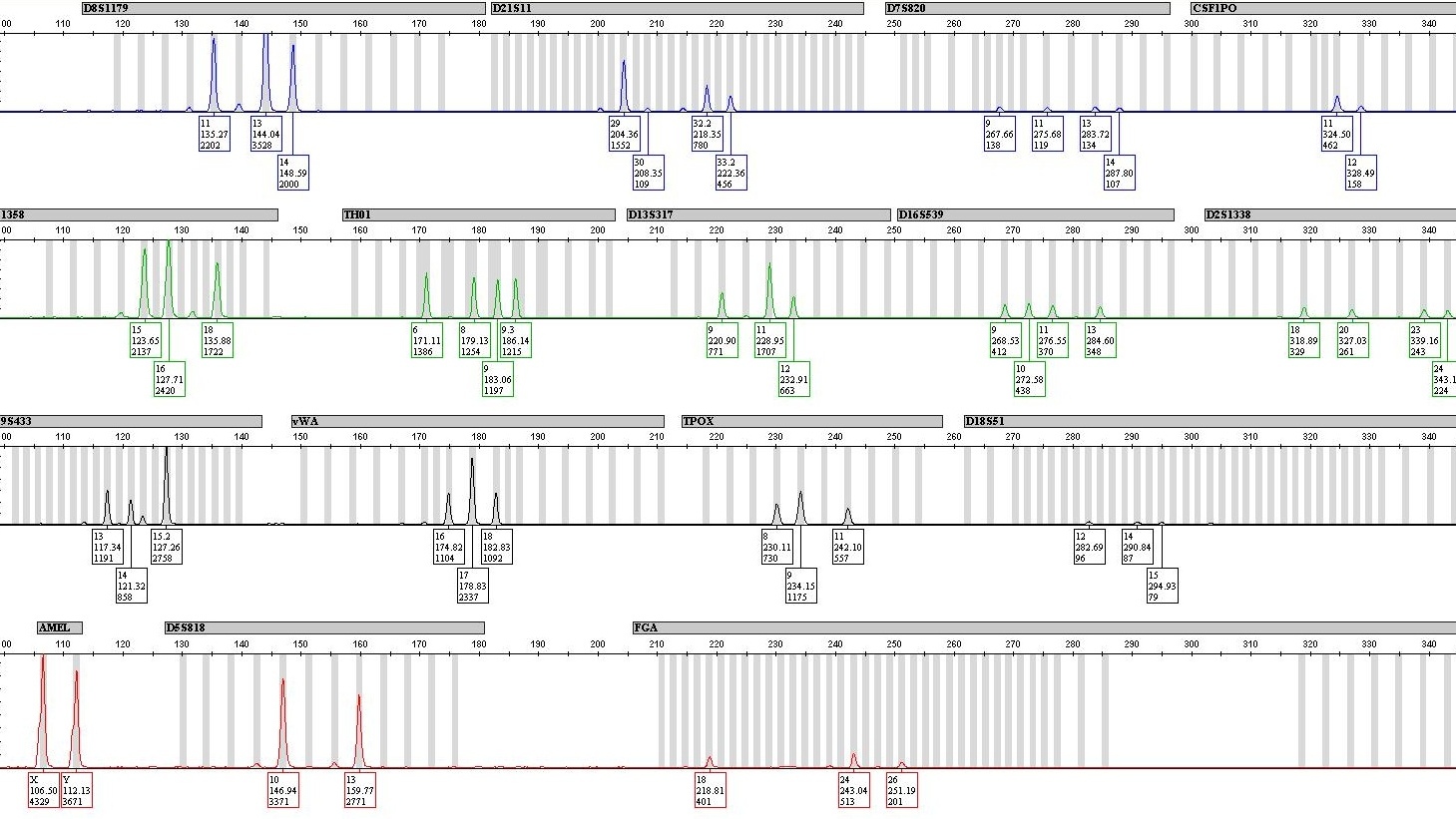 Epg 2pax Mix 594959ebe9798 1 5ace34fa31556[1]