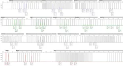 STRmix resolves mixed DNA profiles previously considered too complex to interpret. STRmix resolves mixed DNA profiles previously considered too complex to interpret.