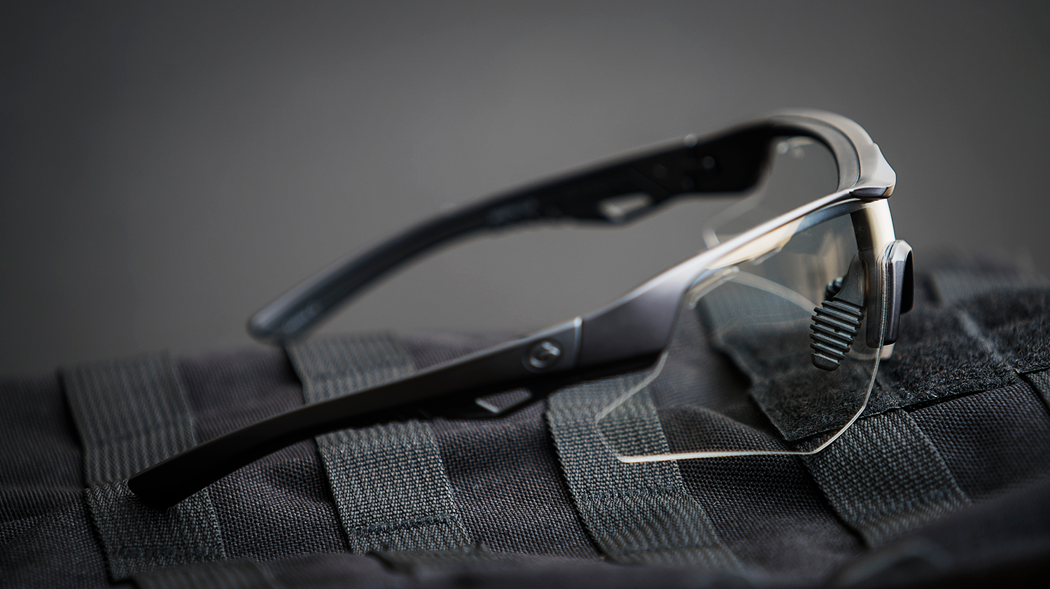 1013 Gargoyles Tg 0283