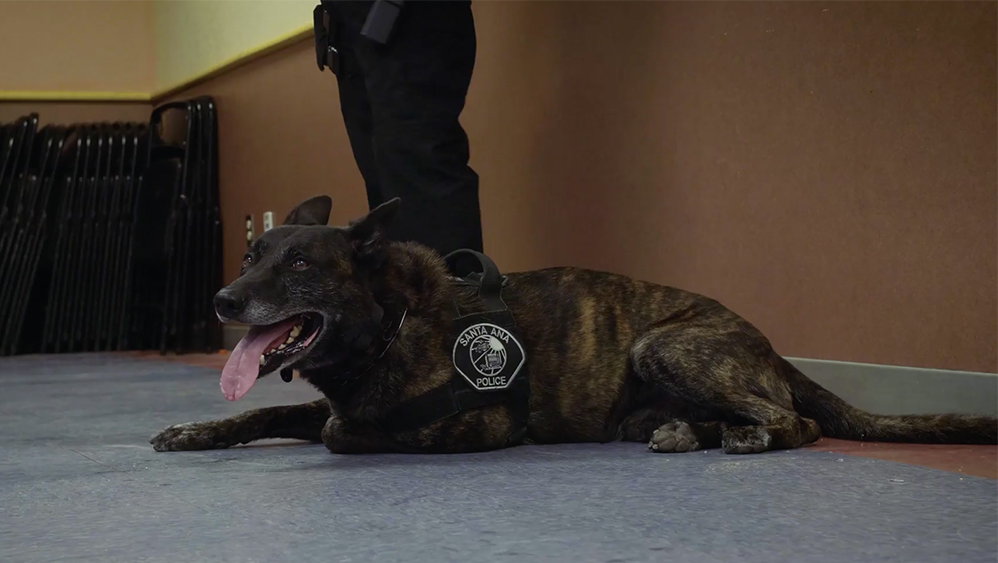 Quietwarrior 5b854ebe1a0d2