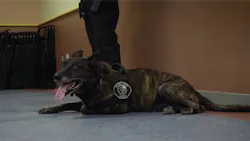 Quietwarrior 5b854ebe1a0d2 Quietwarrior 5b854ebe1a0d2