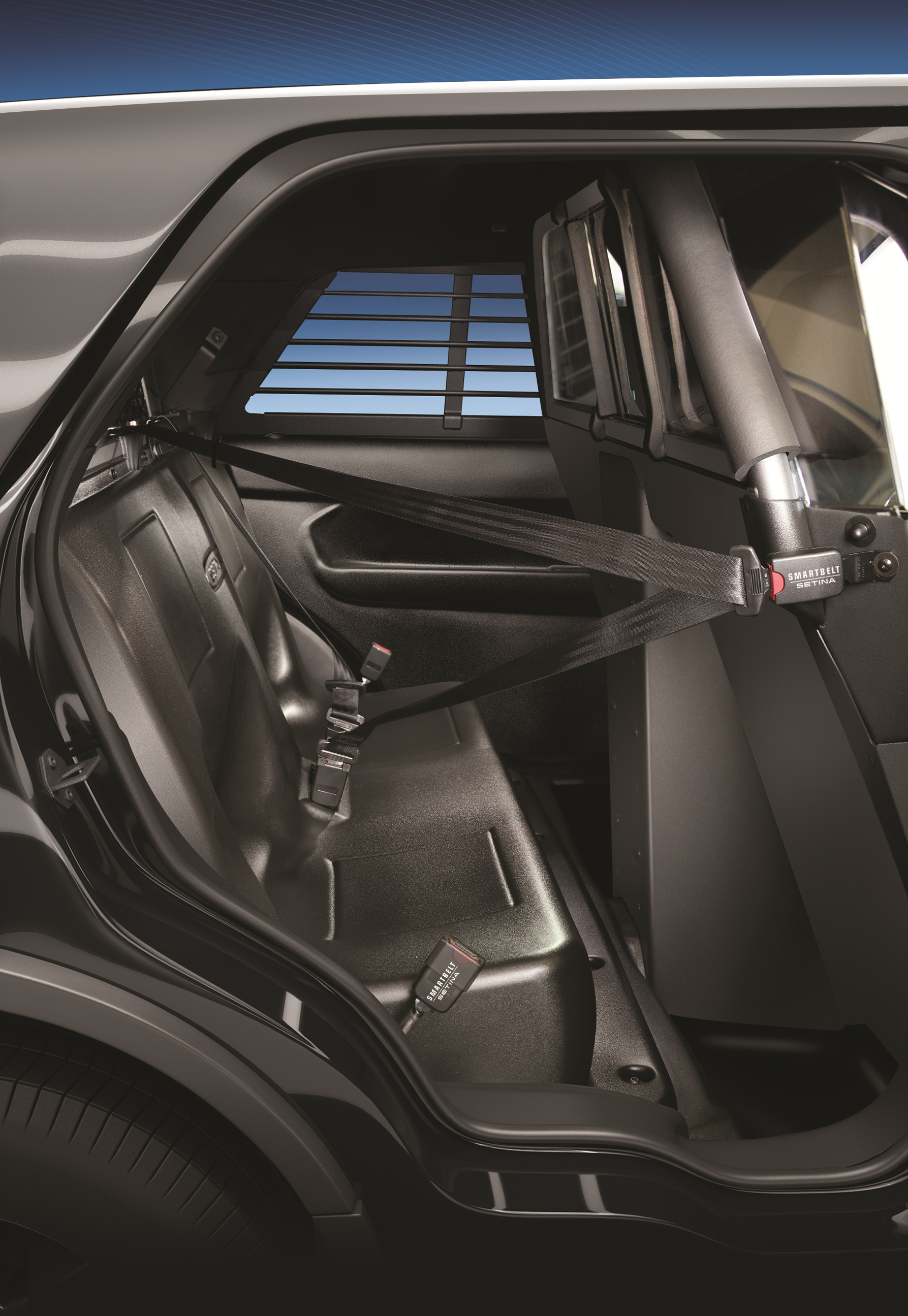 Vehicle Supplement Product