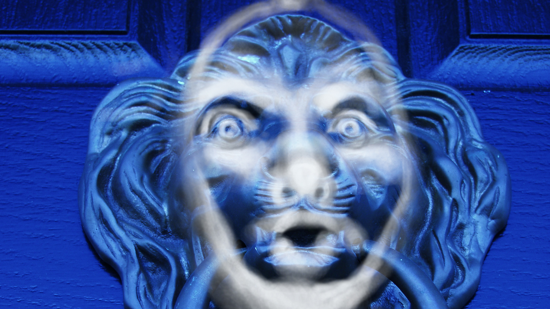 136256496 5bd08af602920