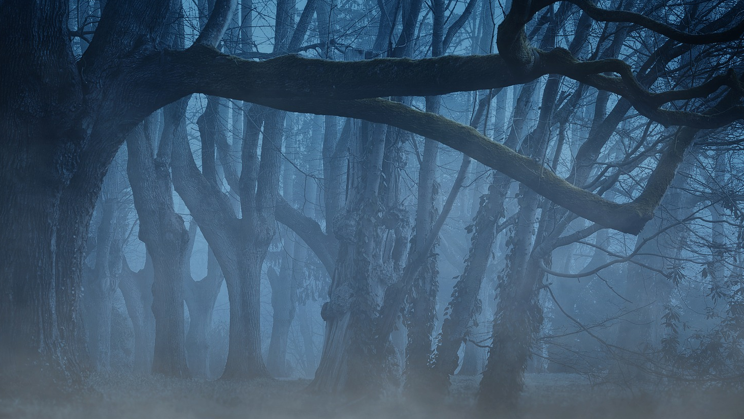 Background 3394066 1920 5bd0925127fb9