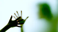 Green Ghost 2 5bd086d299c41 Green Ghost 2 5bd086d299c41