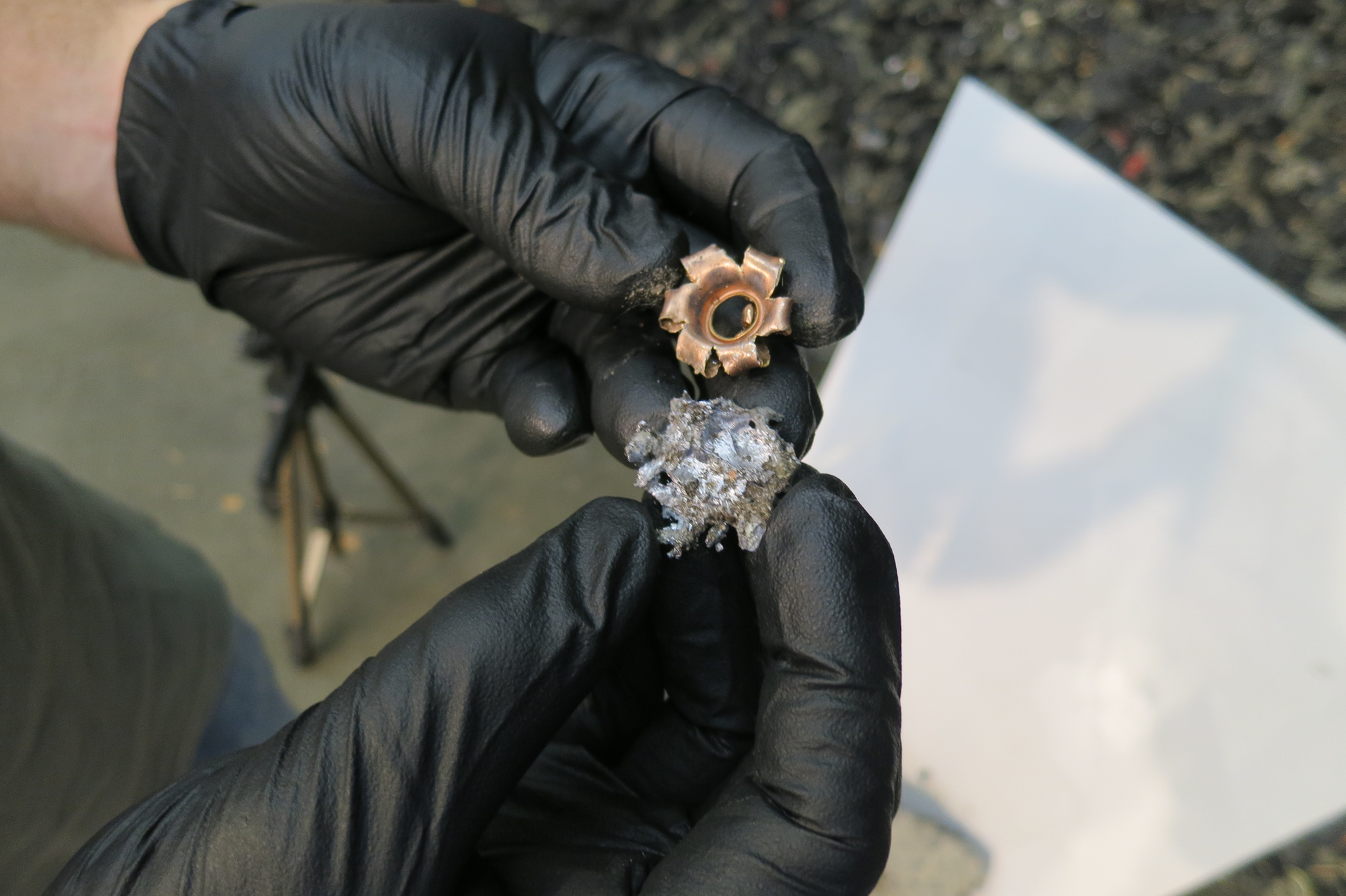 Fig Cover Wd 5c07febb9e77e