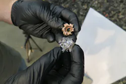 Fig Cover Wd 5c07febb9e77e Fig Cover Wd 5c07febb9e77e