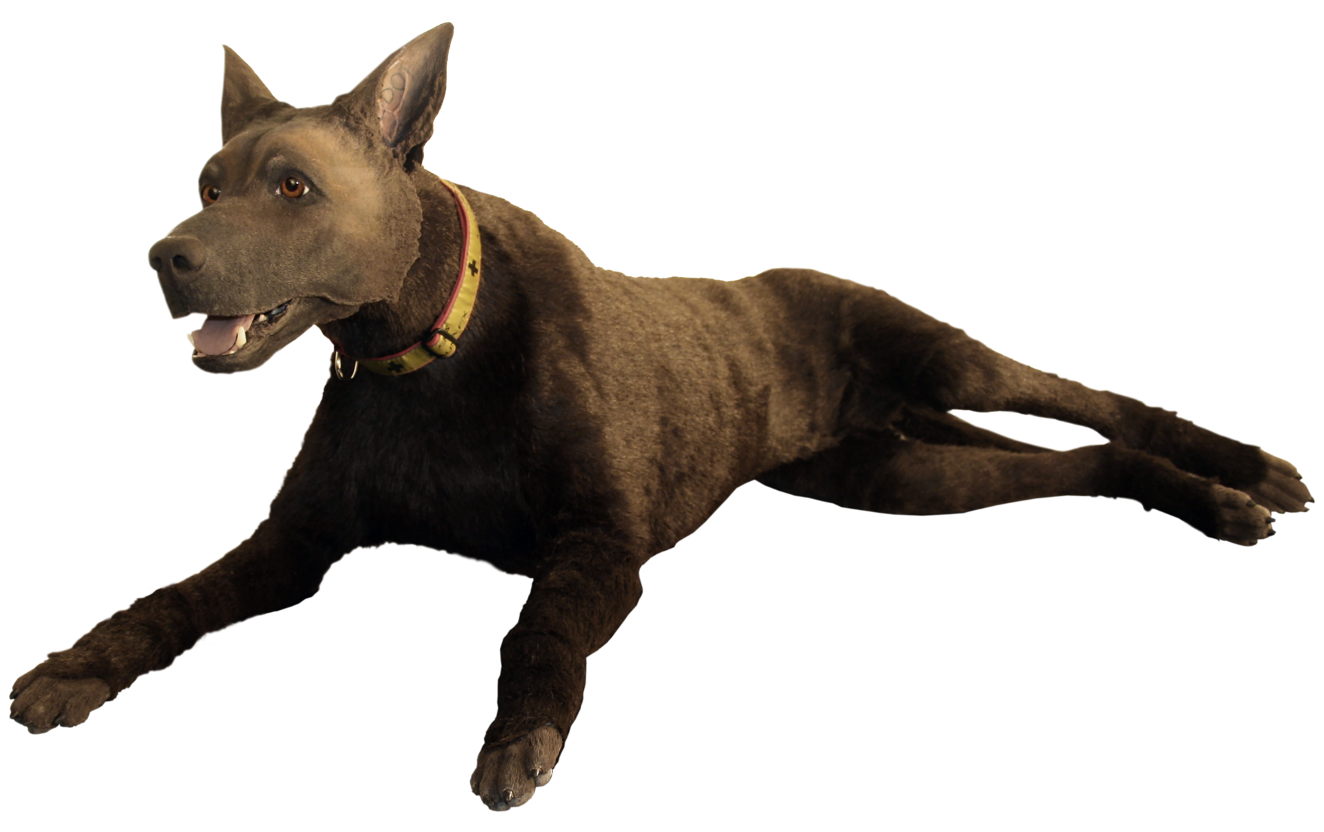 K9 Diesel is an advanced medical simulation trainer that improves the ability of first responders and veterinary professionals to save working dogs&rsquo; lives. The simulator includes 28 different features and medical intervention sites.