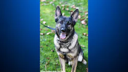 K-9 Gunner K-9 Gunner