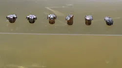 Six different Gold Dot bullets were fired into different media. I got to participate in the testing, and the results were quite consistent. Six different Gold Dot bullets were fired into different media. I got to participate in the testing, and the results were quite consistent.