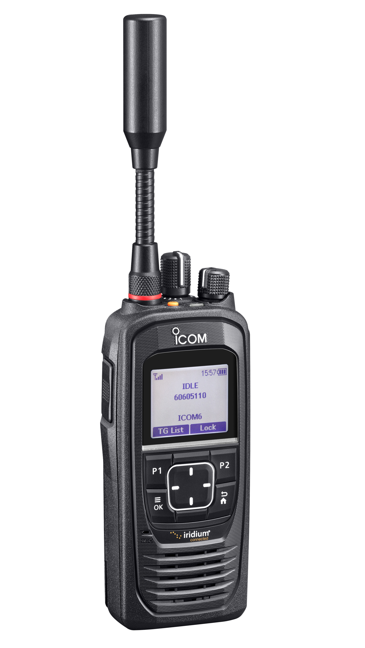 19 6989 ic Sat100 Std2