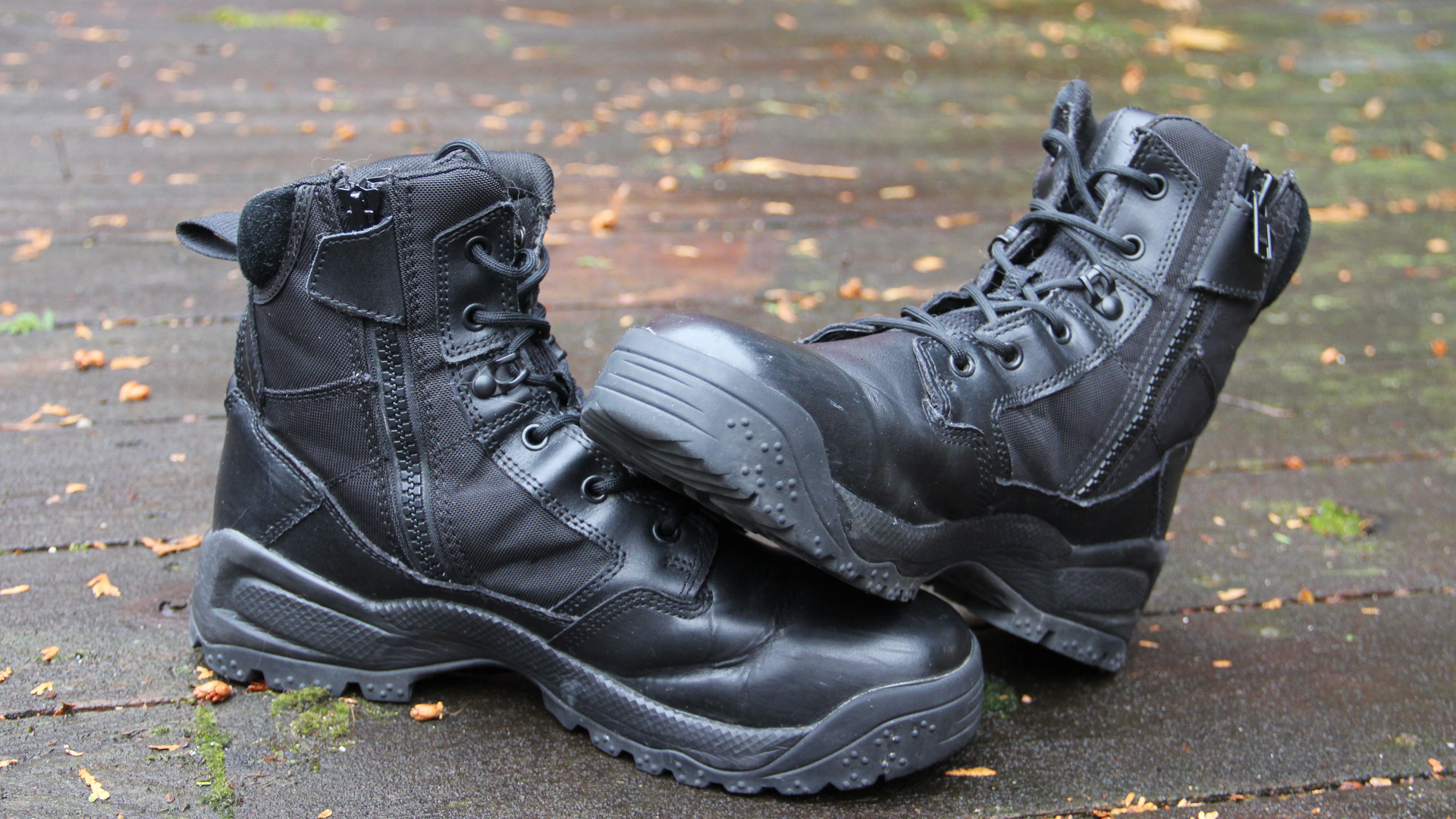 Img 5459 5defe237b839e