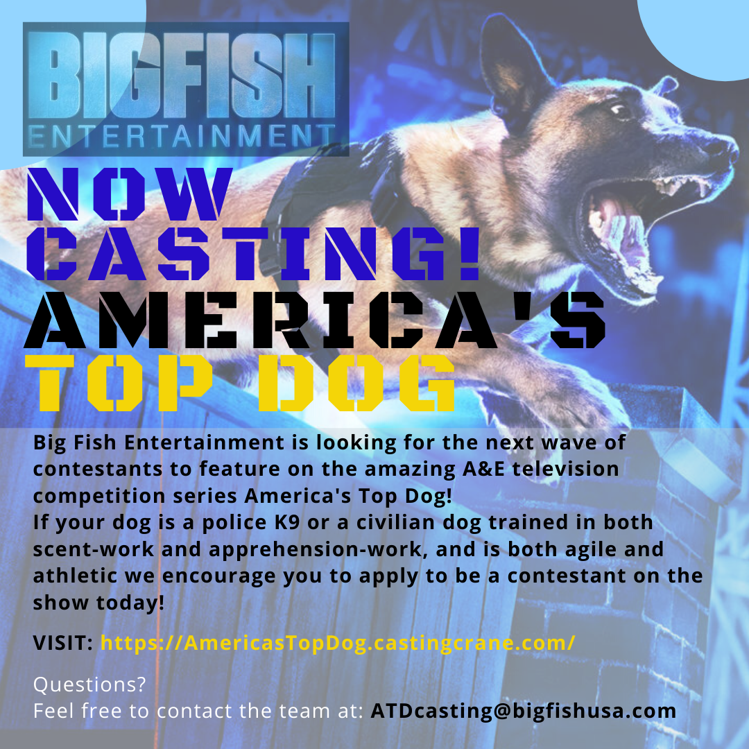 Topdog 5e5d080130aaa