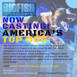 Topdog 5e5d080130aaa Topdog 5e5d080130aaa