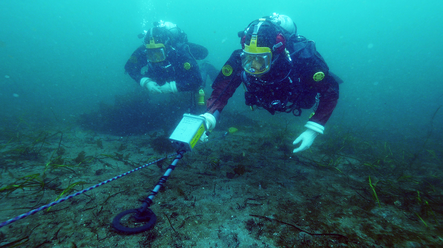 P8 X Divers 5ebd288ed5f0a