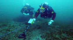 P8 X Divers 5ebd288ed5f0a P8 X Divers 5ebd288ed5f0a