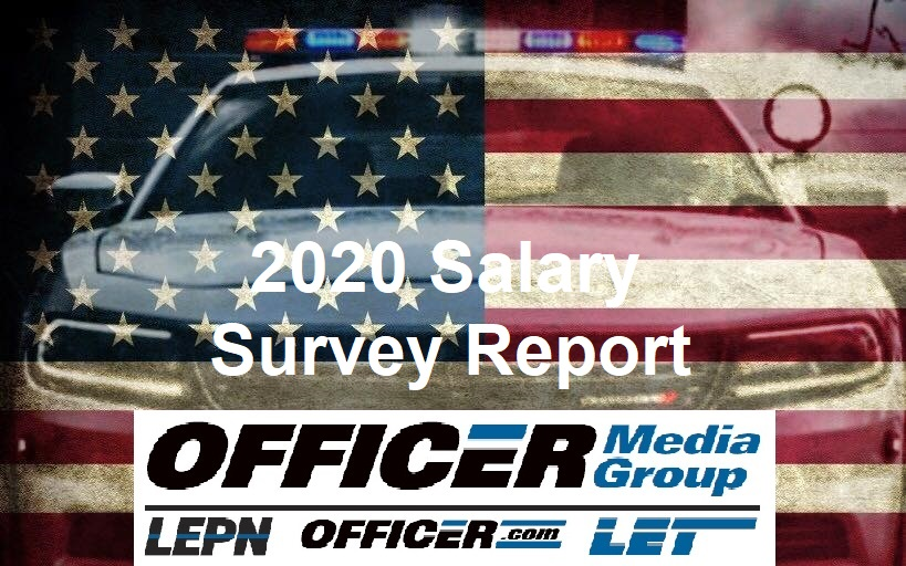 Salary Report 2020 Image